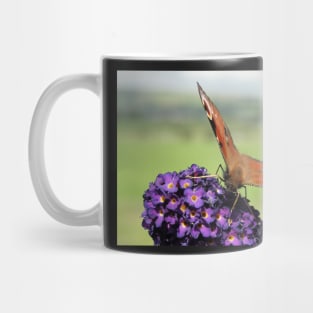 Peacock Butterfly Mug